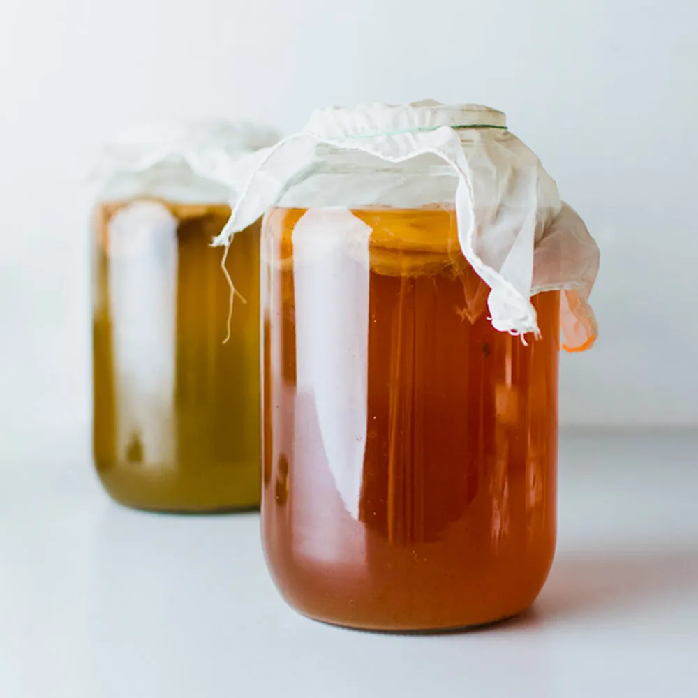 Fairment Bio Kombucha Pilz Scoby Starter 250 ml Tee