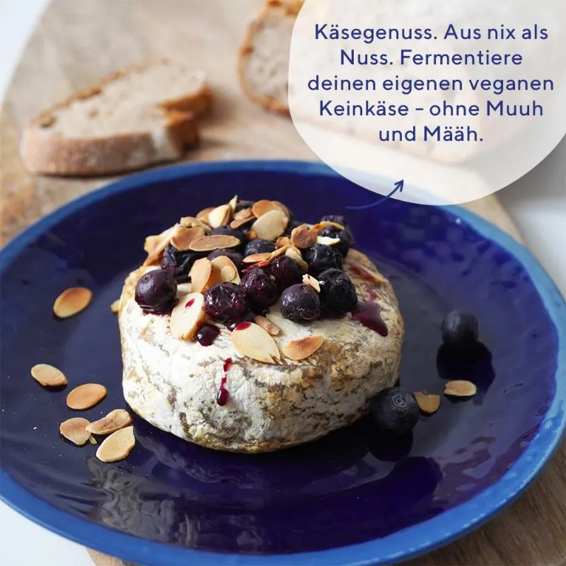 fairment Bio Candidum Edelschimmel Starterkultur vegan