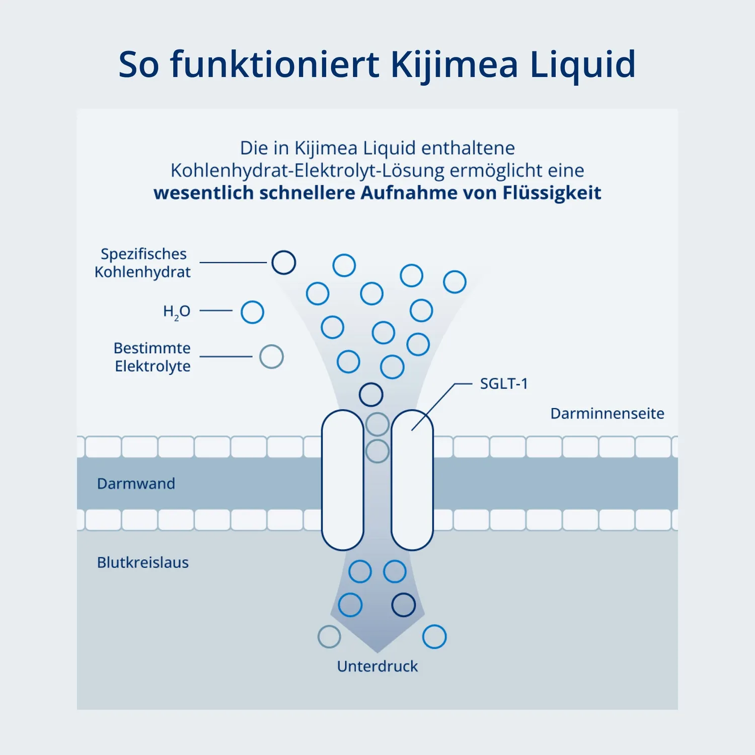 Kijimea Liquid Brausetabletten 40 Stück mit Elektrolyten