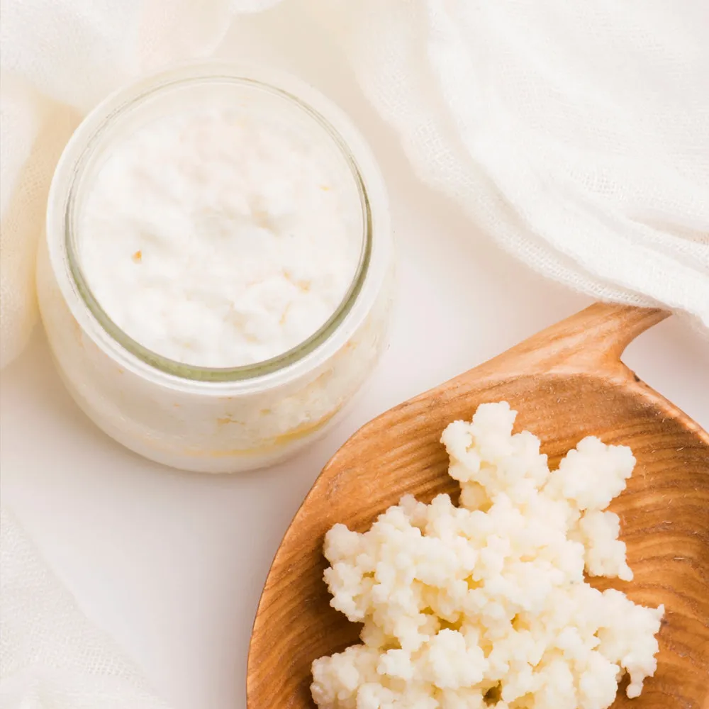 fairment Bio Milchkefir Knollen Starterkultur 10 g Bio