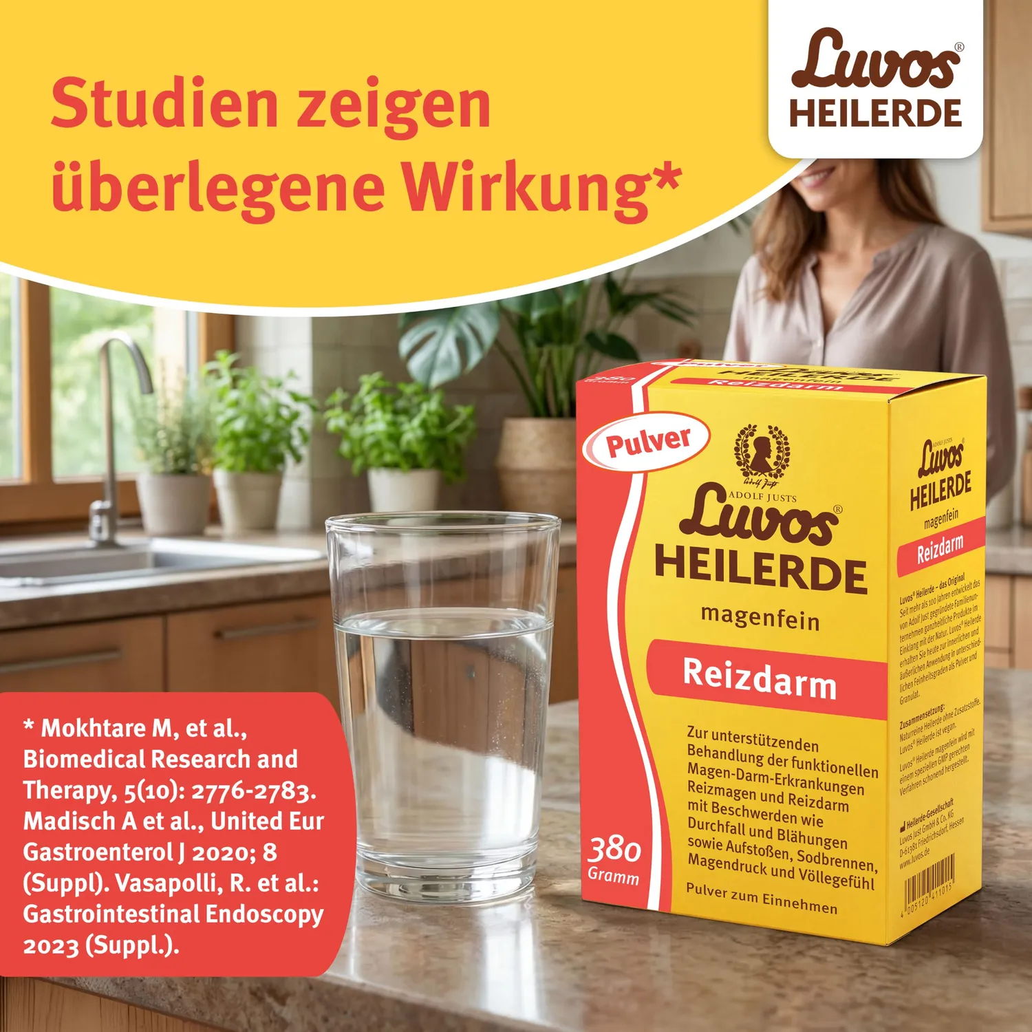Luvos Heilerde magenfein Pulver 380 g laktosefrei