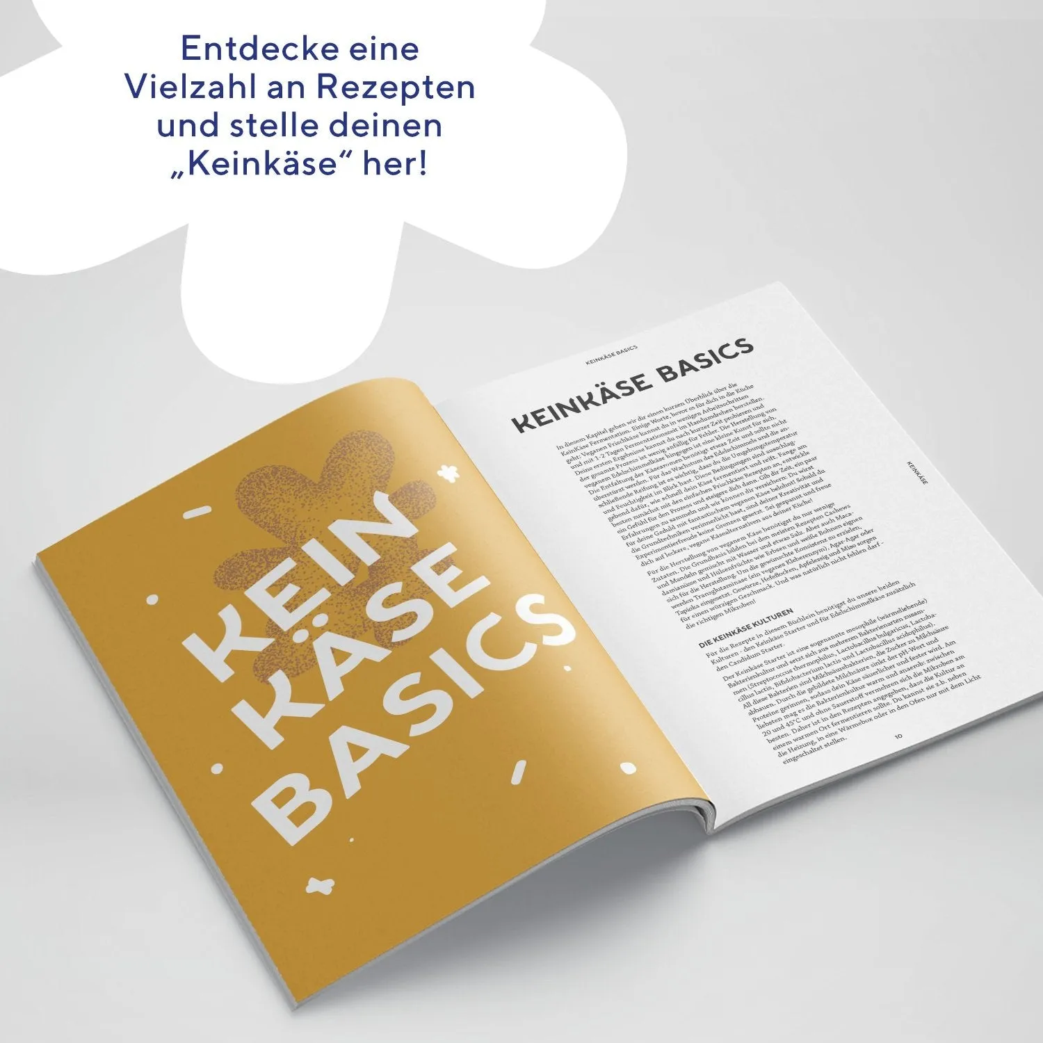 fairment KeinKäse Rezeptbuch E-Book 32 vegane Rezepte