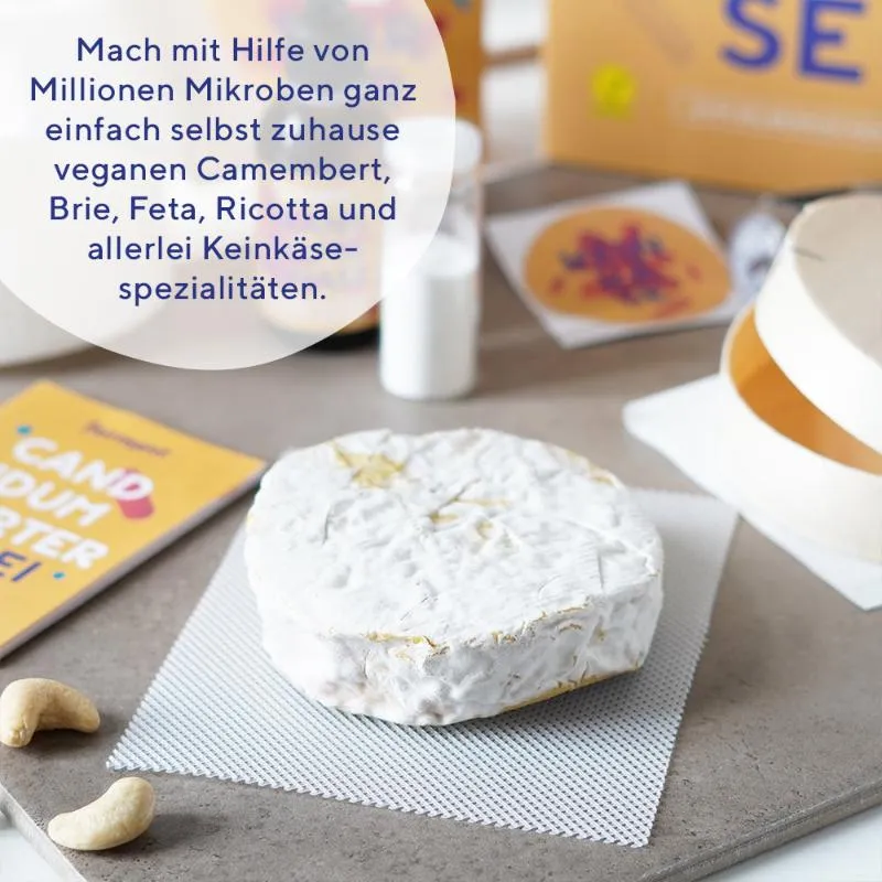 fairment Bio Candidum Edelschimmel Starterkultur vegan