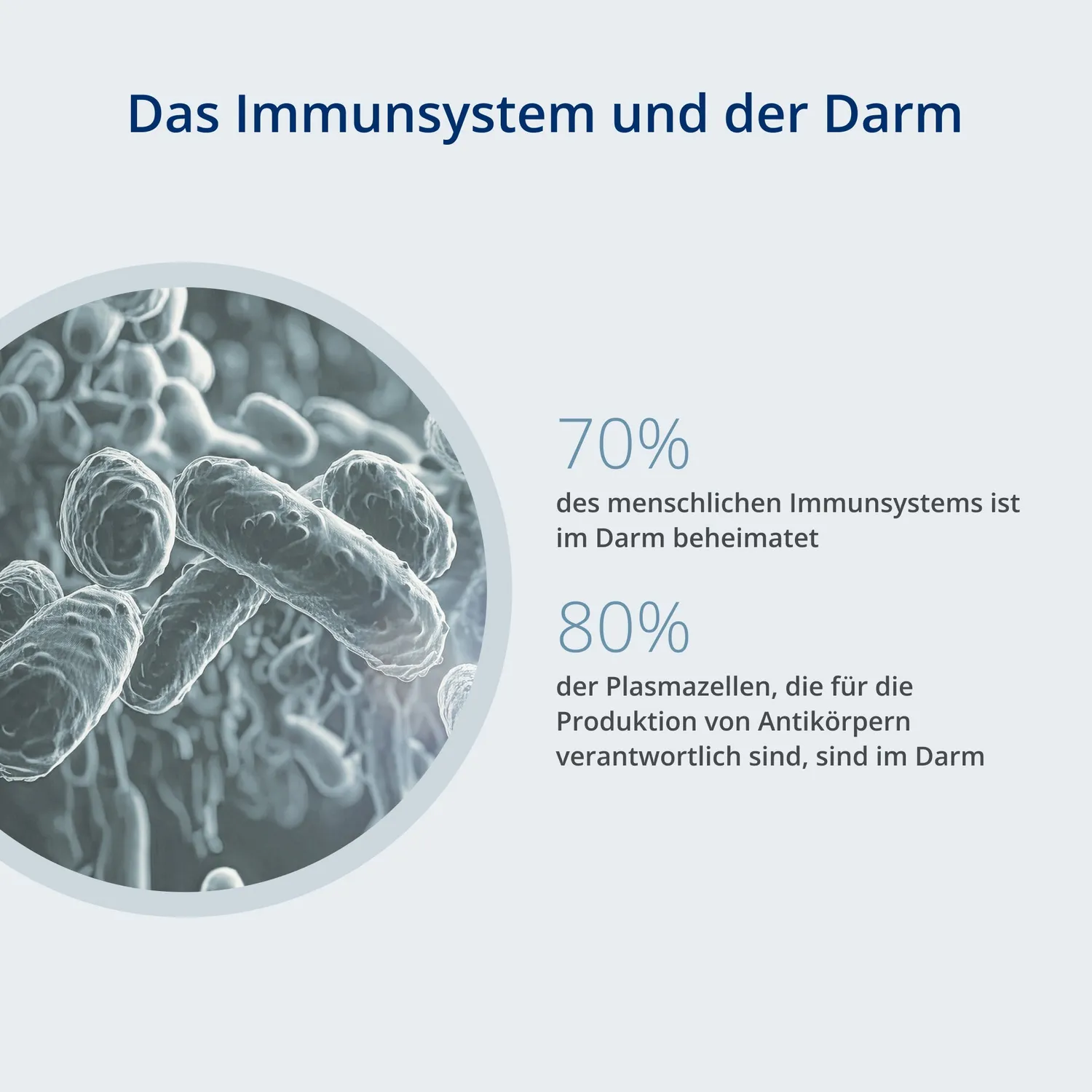Kijimea Immun Sachets 28 Stück fürs Immunsystem