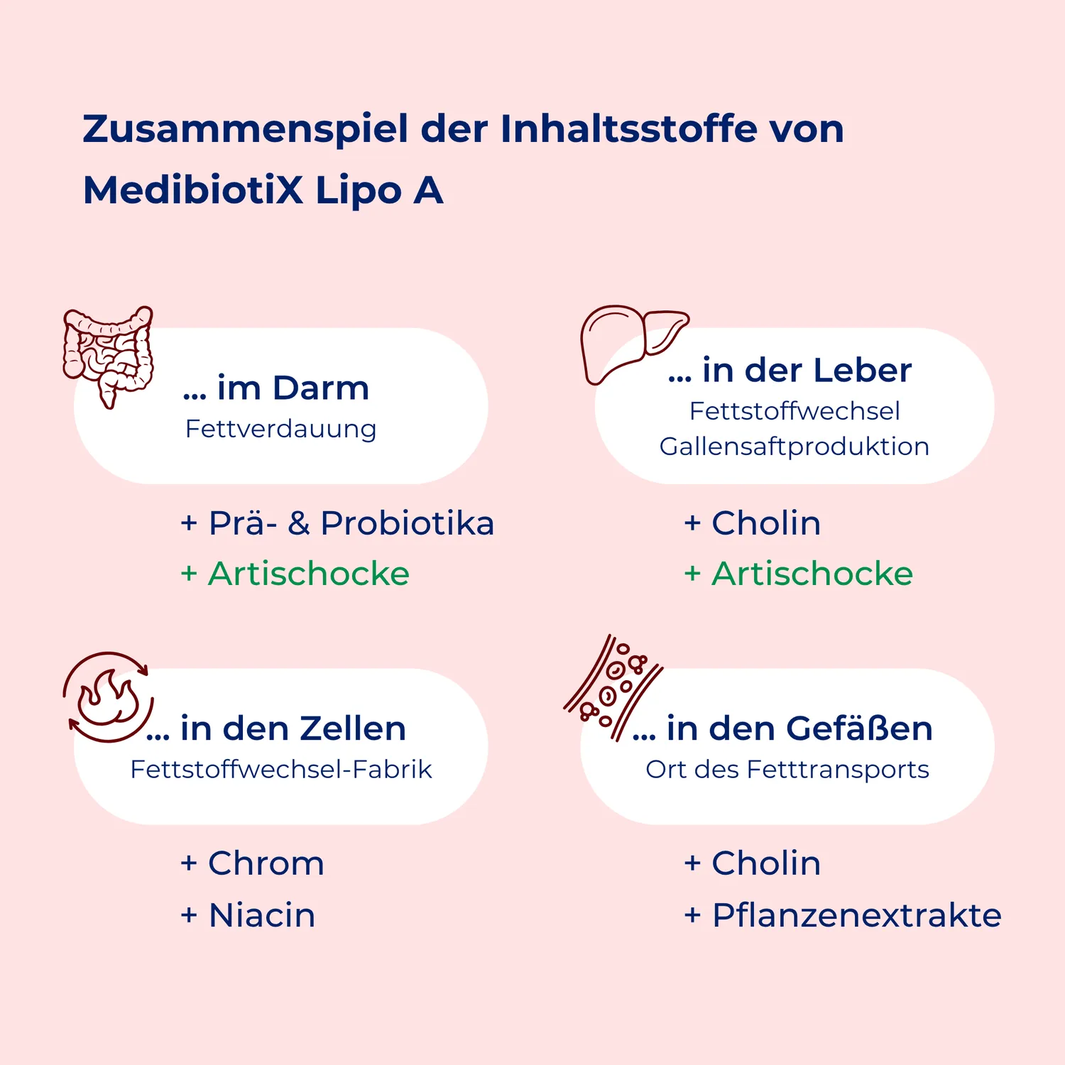 MedibiotiX Lipo A Kapseln mit Vitamin A