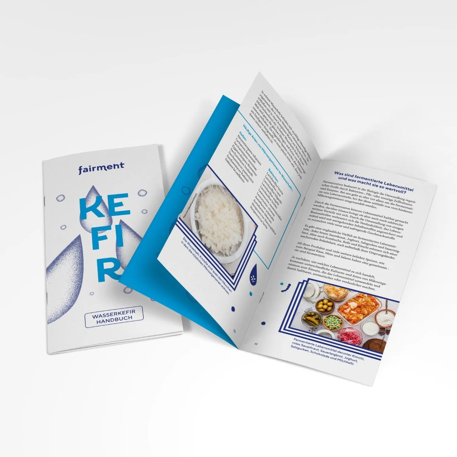 fairment Wasserkefir Starter Kit Bio Wasserkefir Set