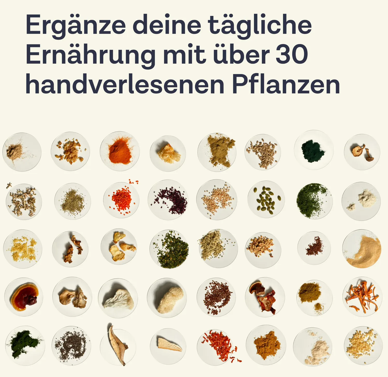 Zoë Daily30+ Pflanzenpulver Ballaststoffe vegan
