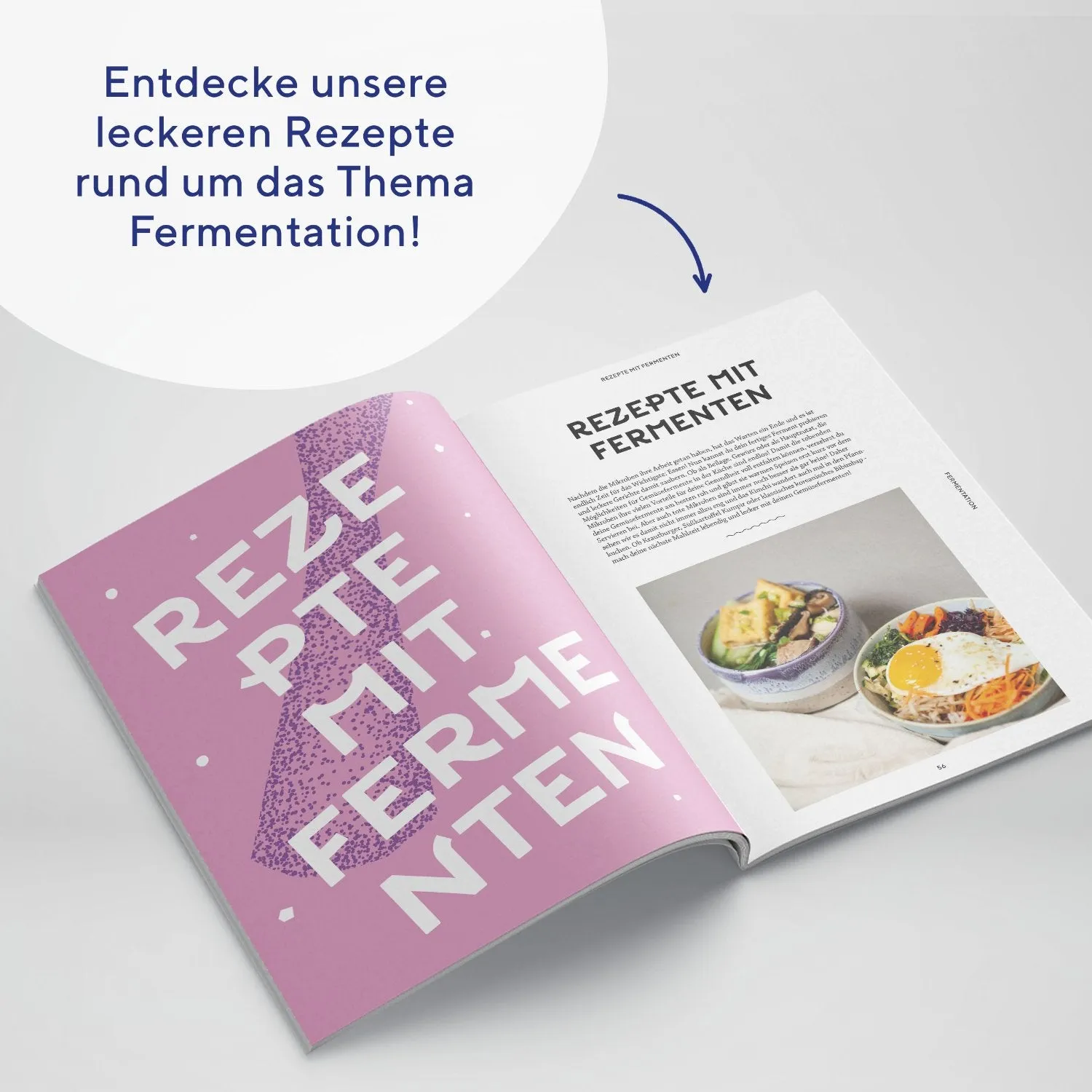 fairment Gemüsefermentation Rezeptbuch E-Book 28 Rezepte