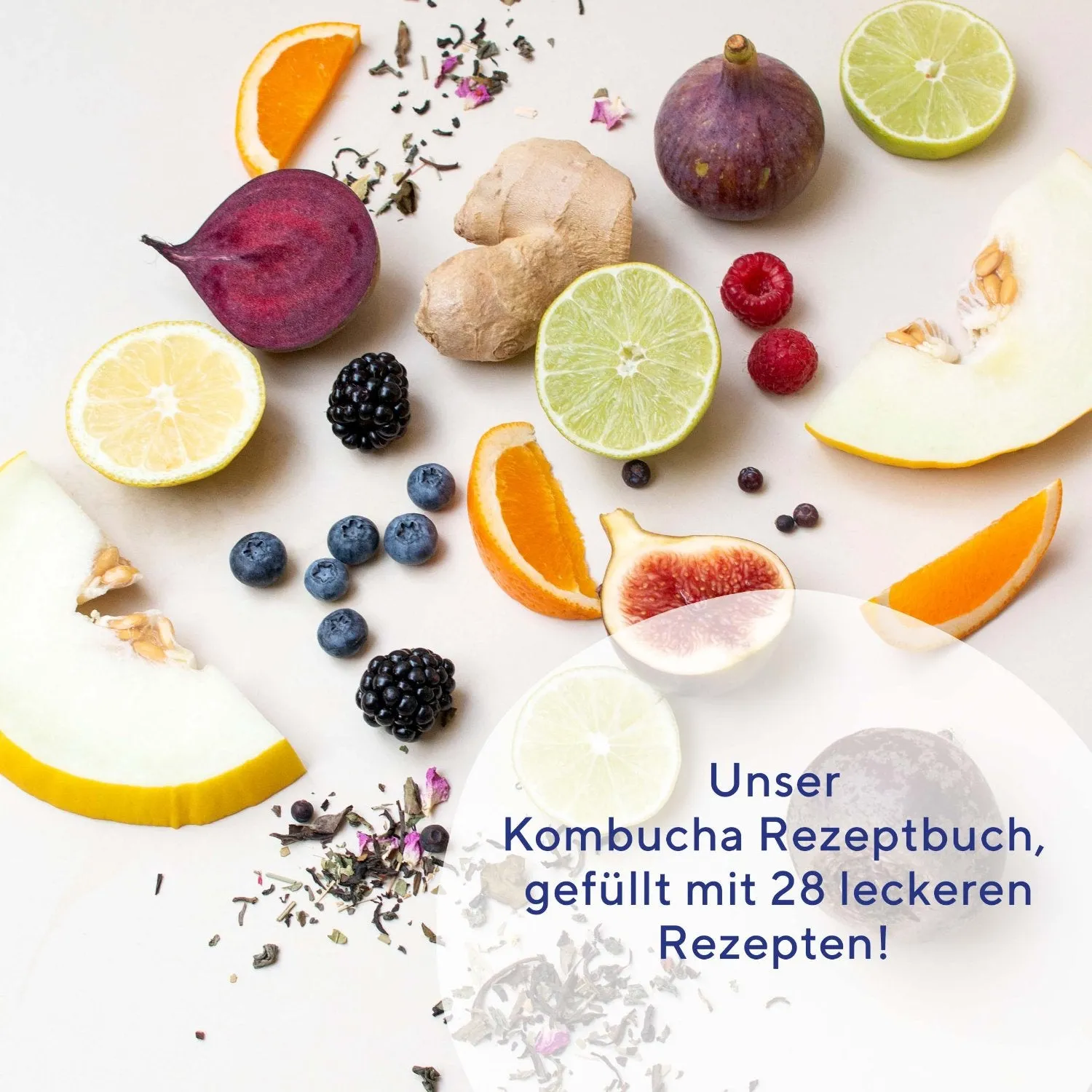 fairment Kombucha Rezeptbuch E-Book 28 Kreationen vegan