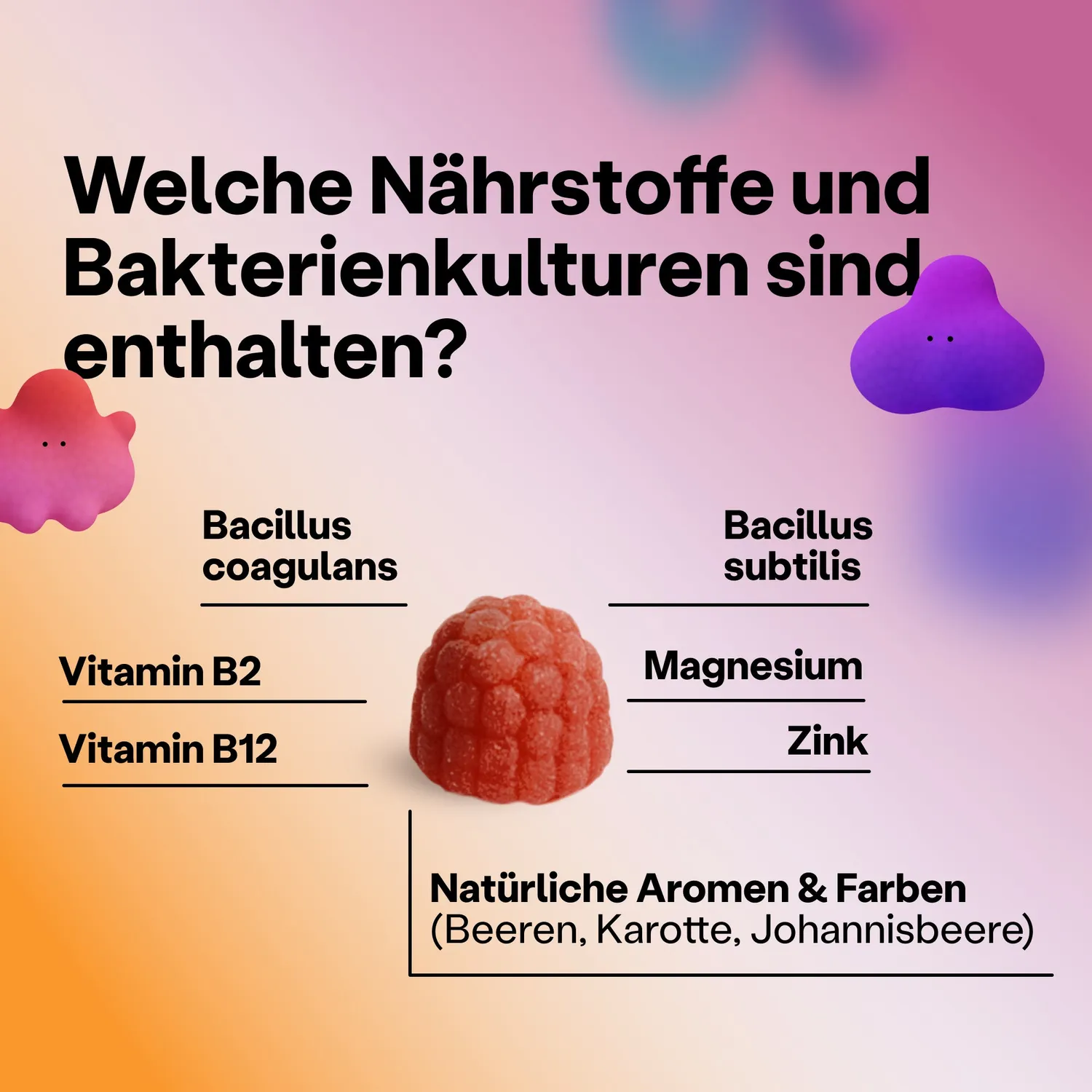 fairment TummyGummies Probiotika Gummibärchen 60 Stück Kinder