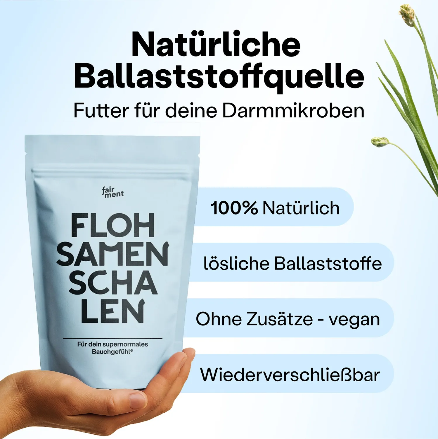 fairment Flohsamenschalen Ballaststoffe 500 g Pulver