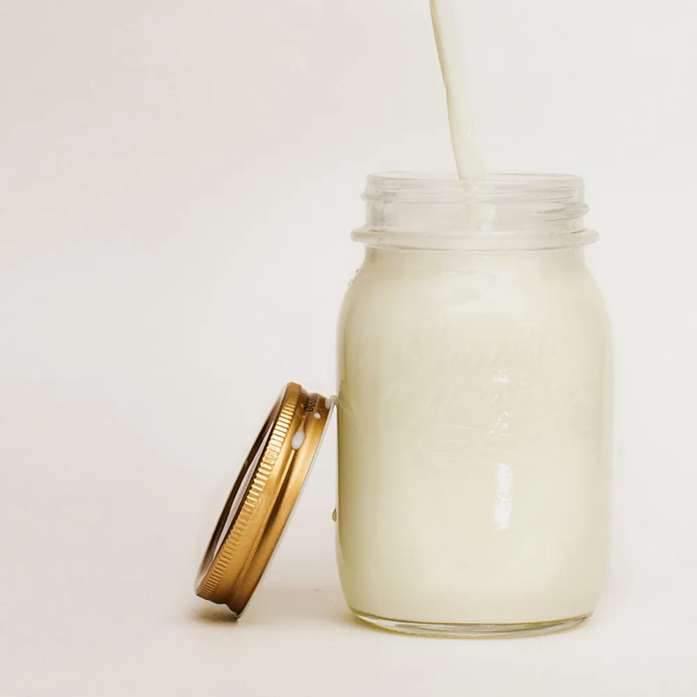 fairment Bio Milchkefir Knollen Starterkultur 10 g Bio