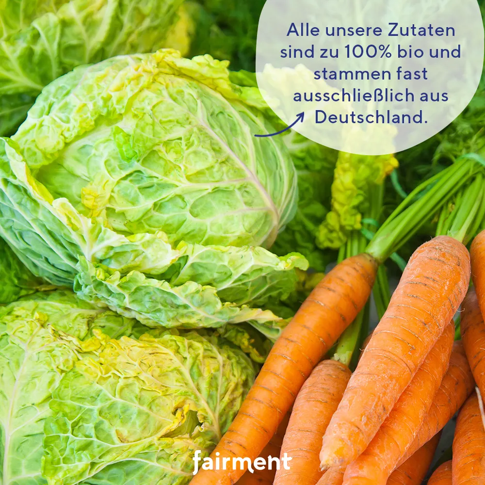 fairment Kultur-Kraut Gold Sauerkraut 330g Kurkuma bio