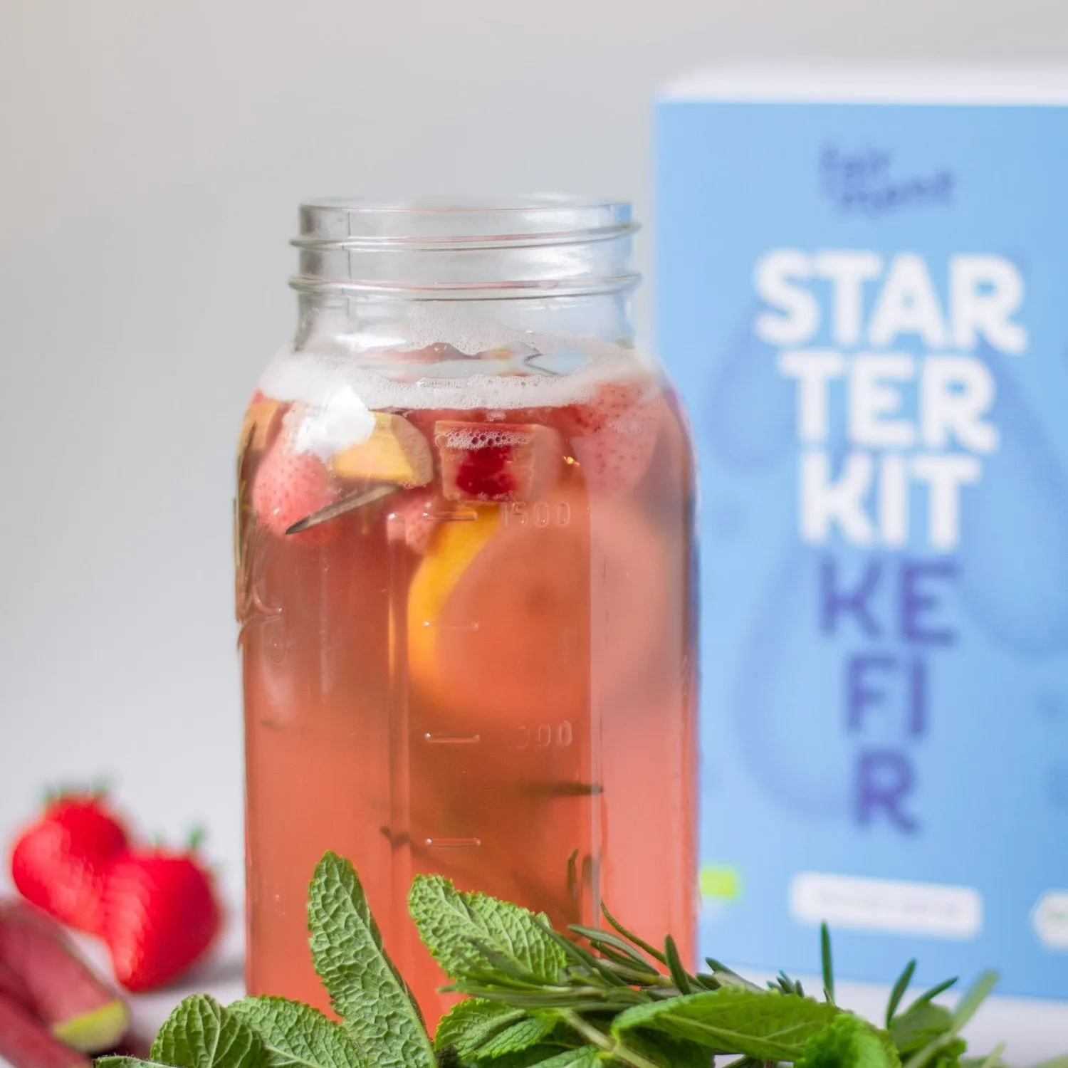 fairment Wasserkefir Starter Kit Bio Wasserkefir Set