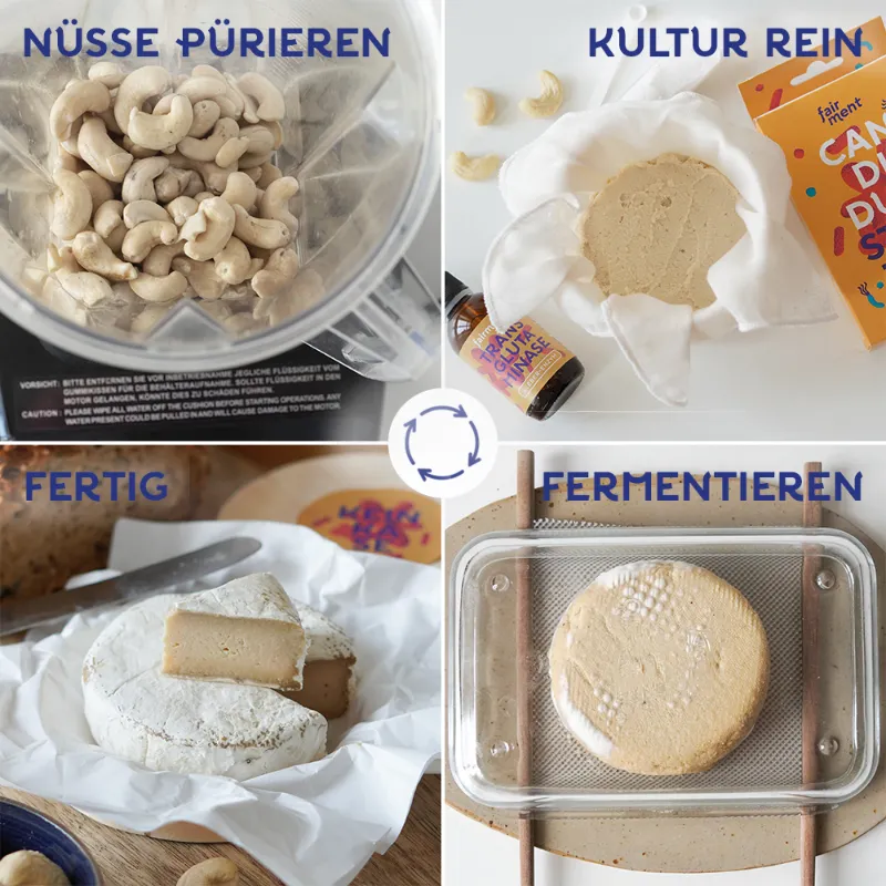 fairment Bio Candidum Edelschimmel Starterkultur vegan