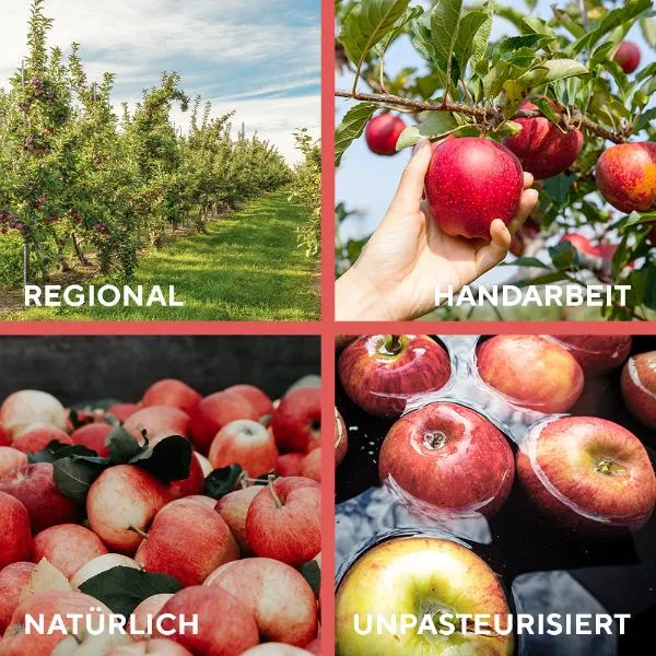 fairment Bio Apfelessig naturtrüb ungefiltert 500 ml