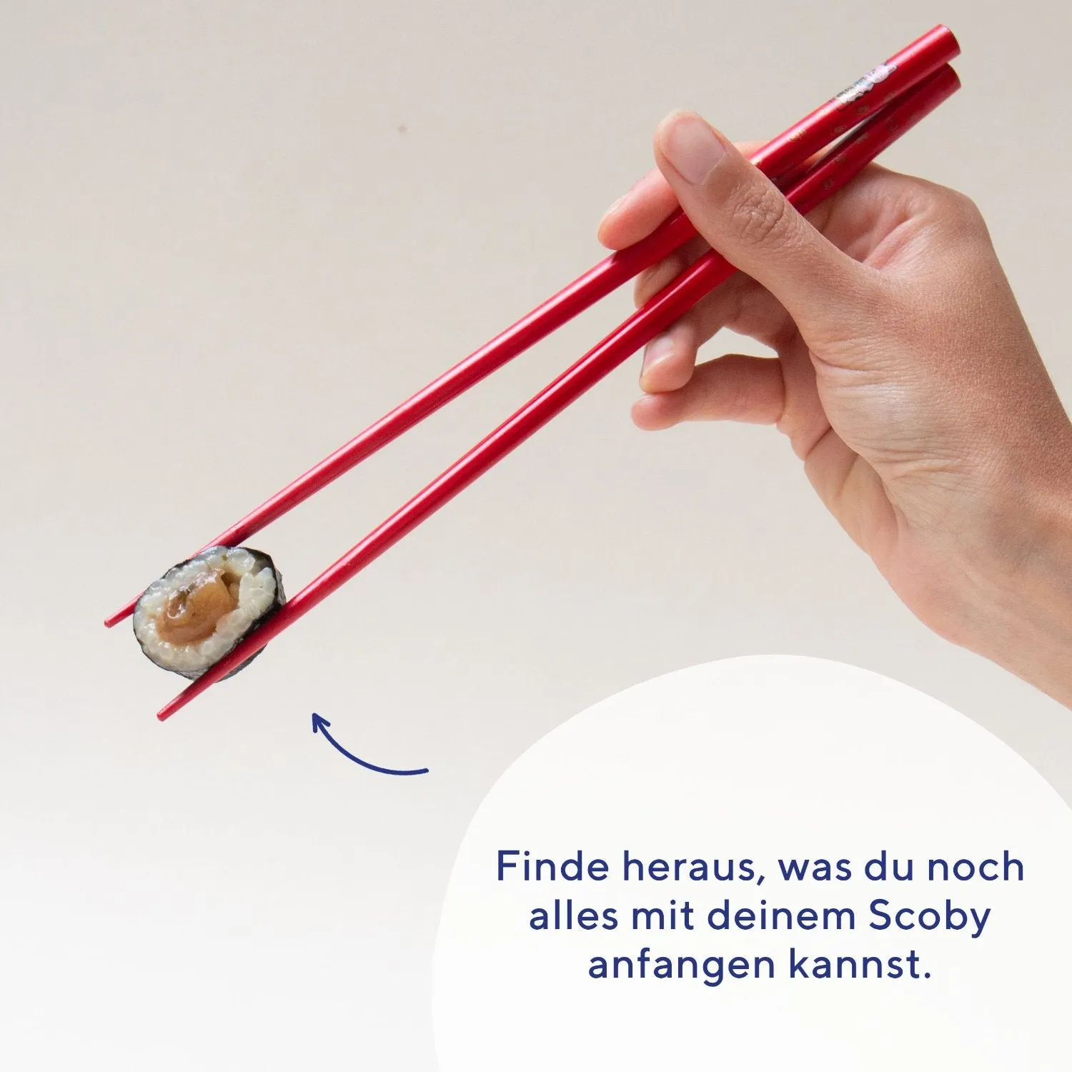 fairment Kombucha Rezeptbuch E-Book 28 Kreationen vegan