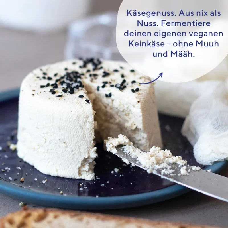 fairment Keinkäse Starter Kulturen vegan Camembert Feta