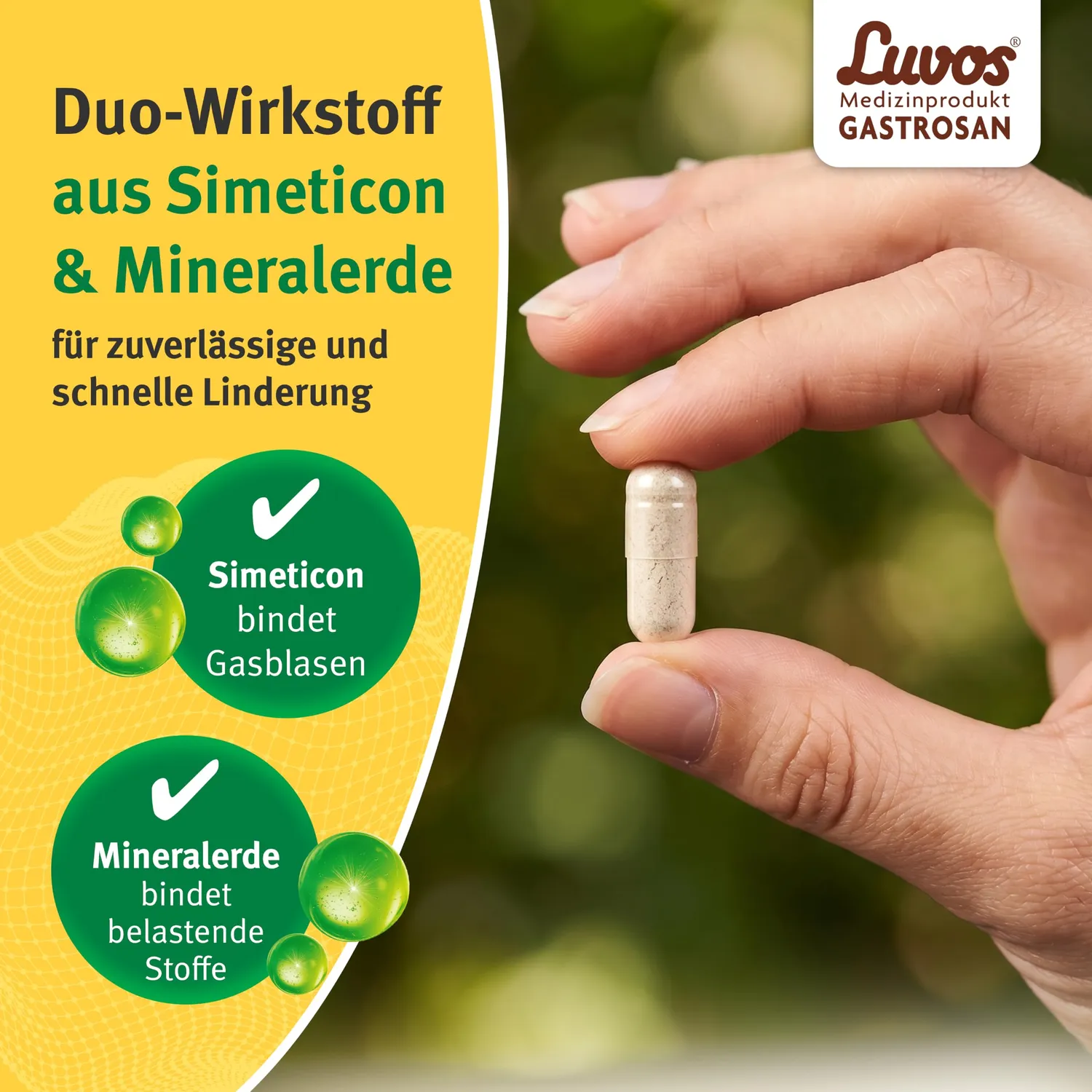 Luvos Gastrosan Kapseln 30 Stück bei Blähungen