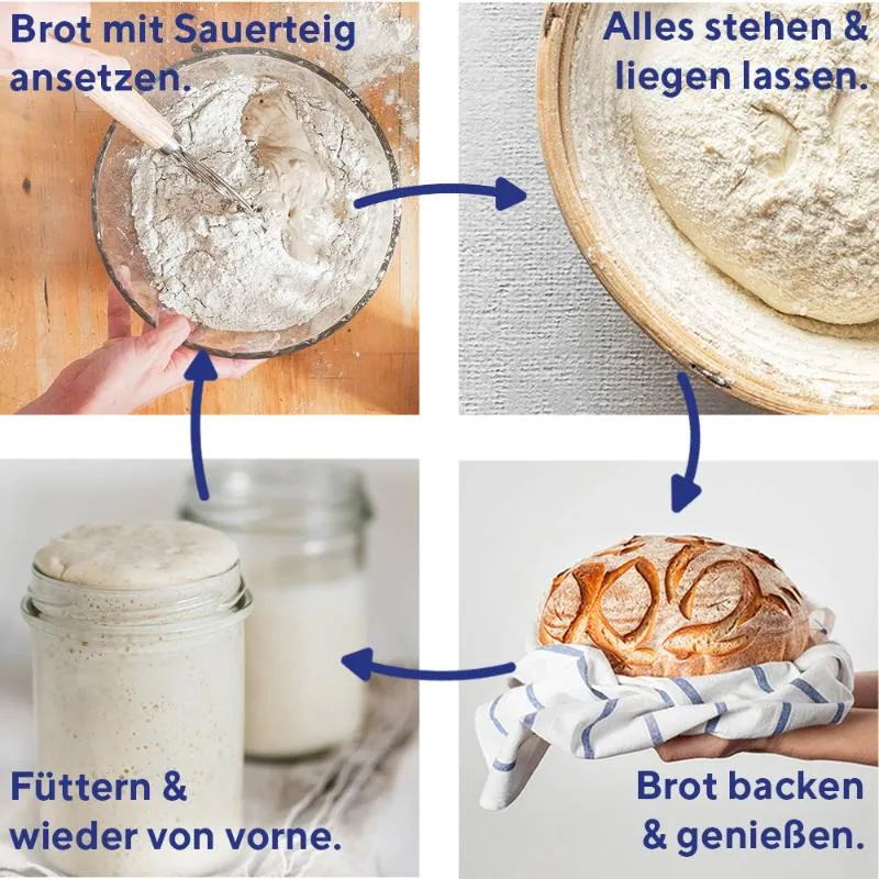 fairment Starter Bio Sauerteig Roggenmehl 150g vegan