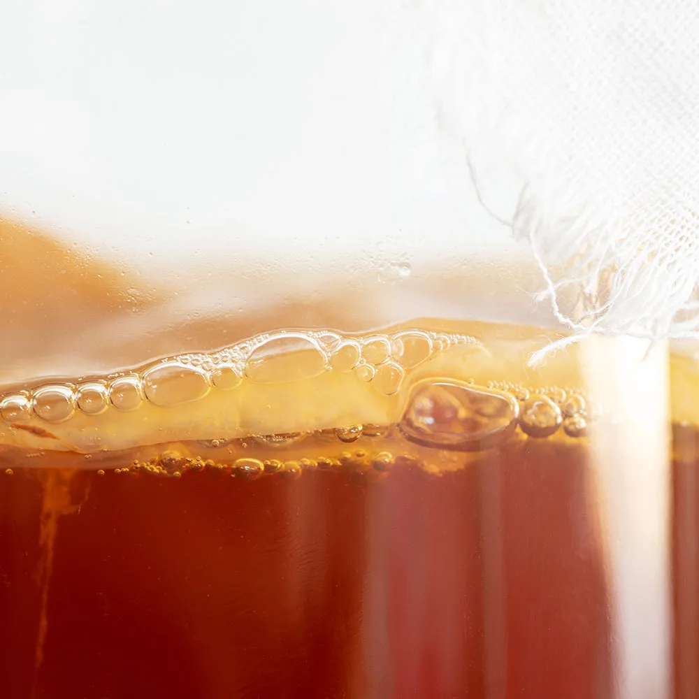 Fairment Bio Kombucha Pilz Scoby Starter 250 ml Tee