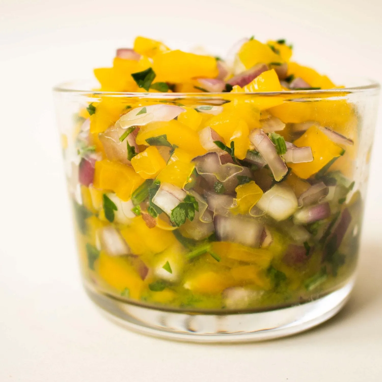 fairment Gemüsefermentation Rezeptbuch E-Book 28 Rezepte