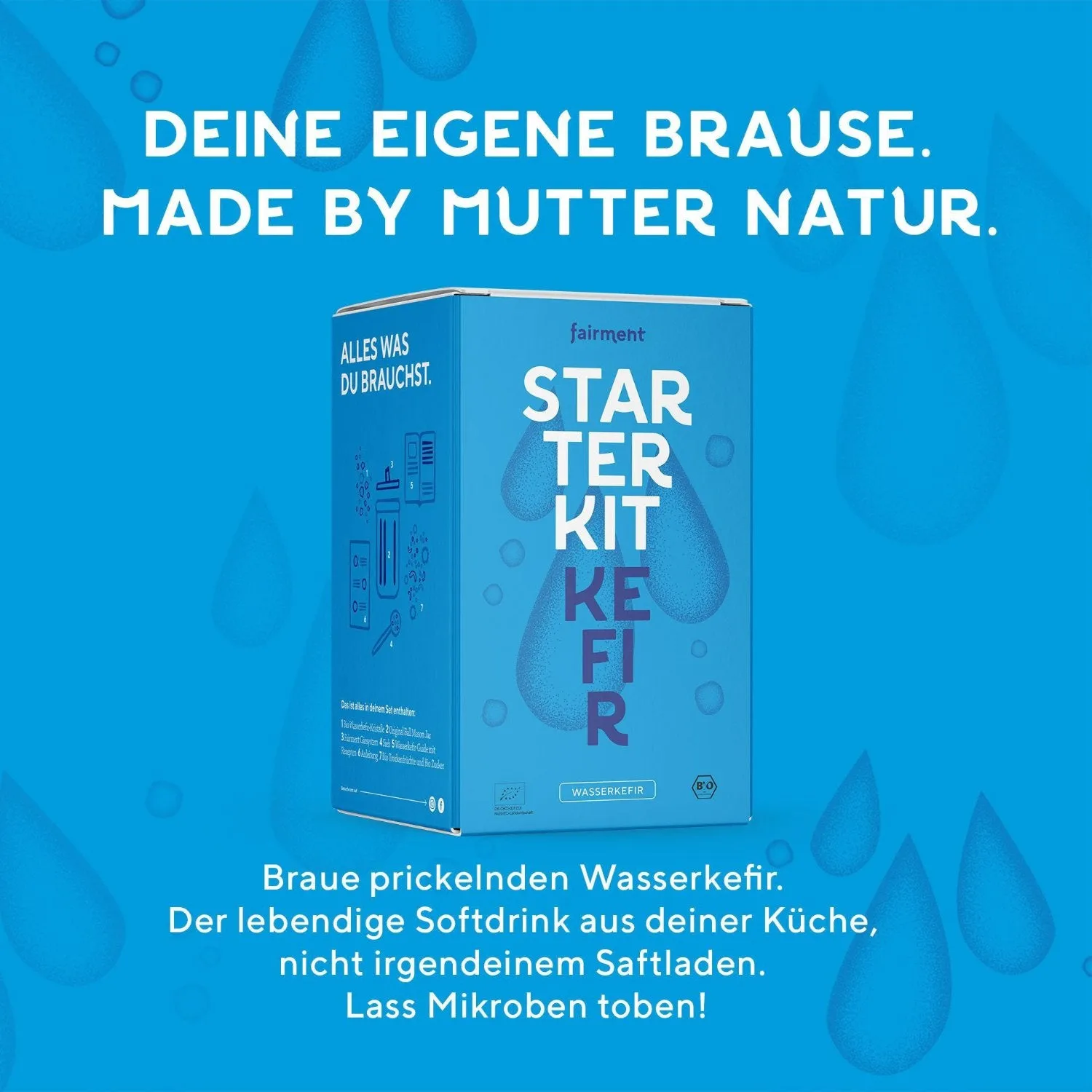fairment Wasserkefir Starter Kit Bio Wasserkefir Set