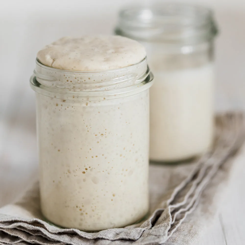 Fairment Bio Sauerteig Starter glutenfrei 150 g backfertig