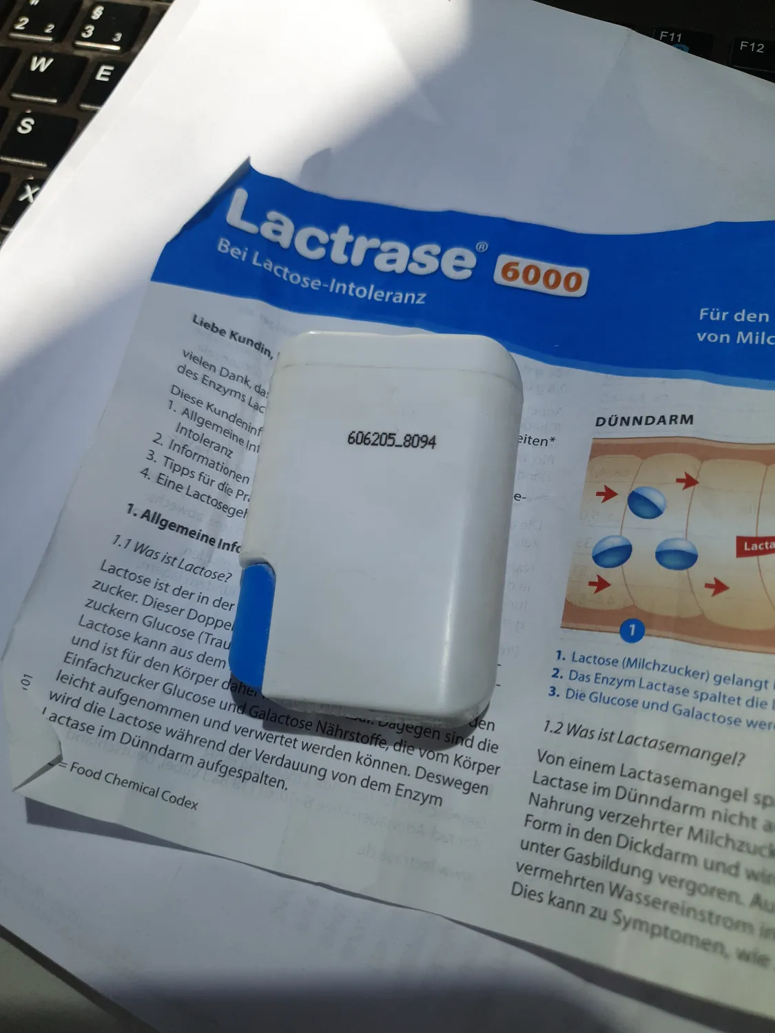 Lactrase 6000 Lactase Tabletten 240 Stück Mini-Tabletten