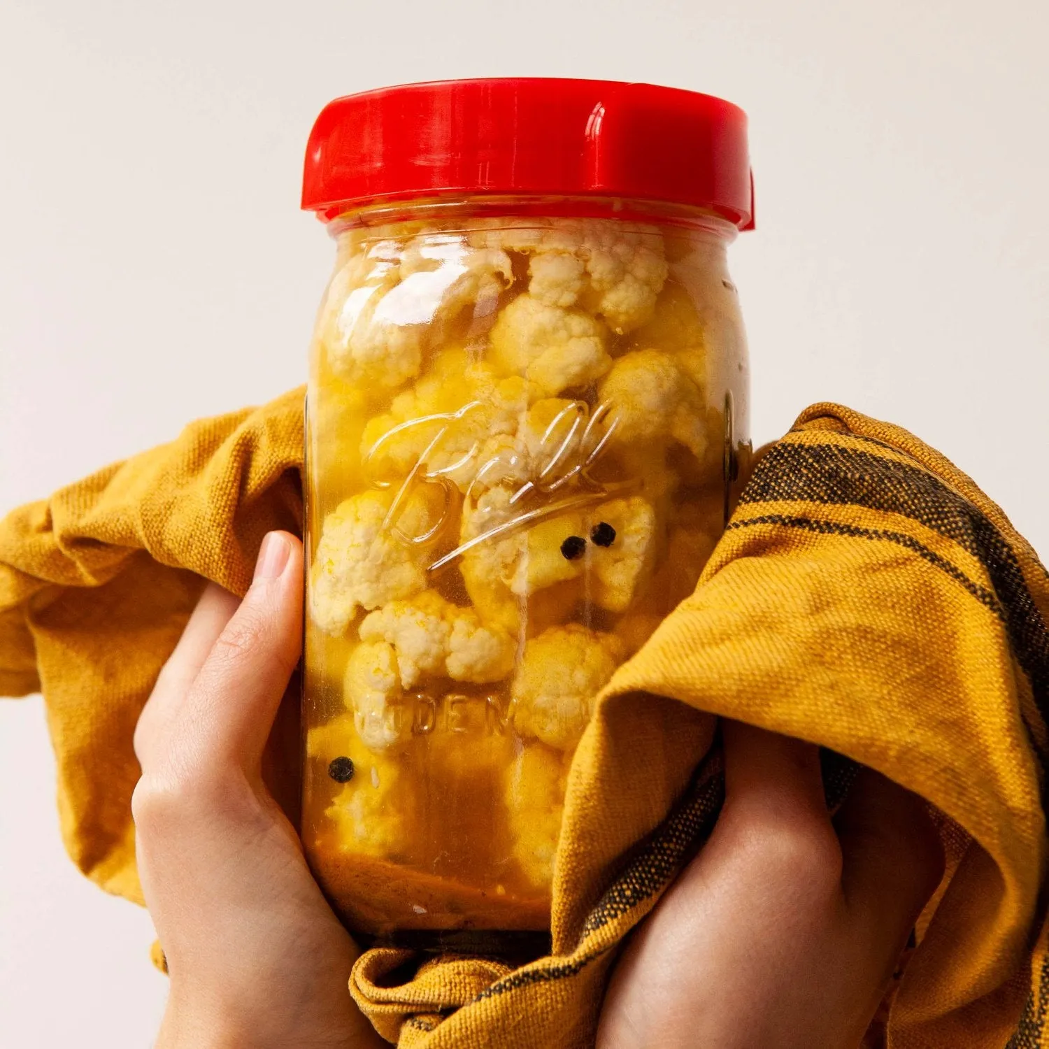 fairment Gemüsefermentation Rezeptbuch E-Book 28 Rezepte