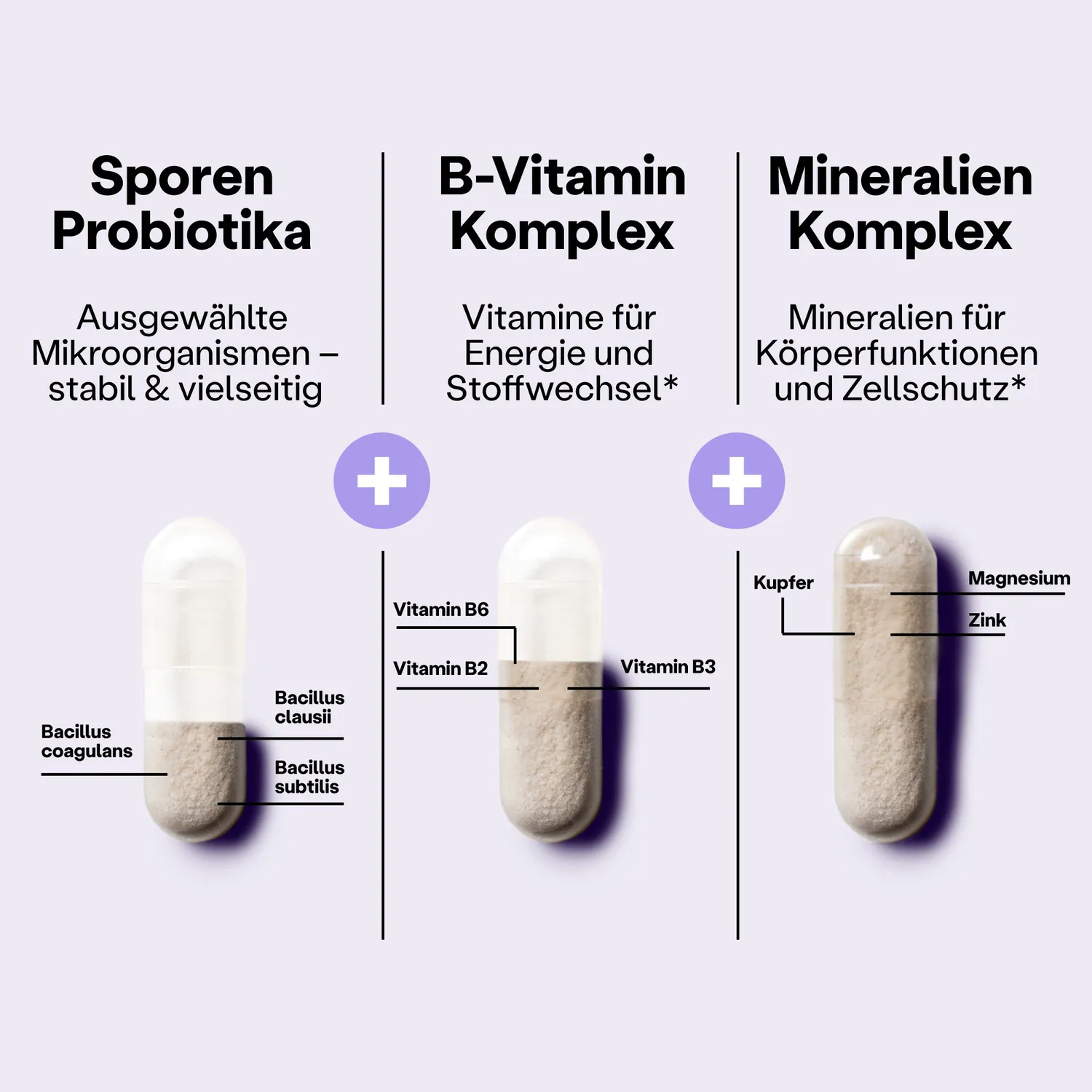fairment SuperMikroben Biotika Kapseln Bacillus