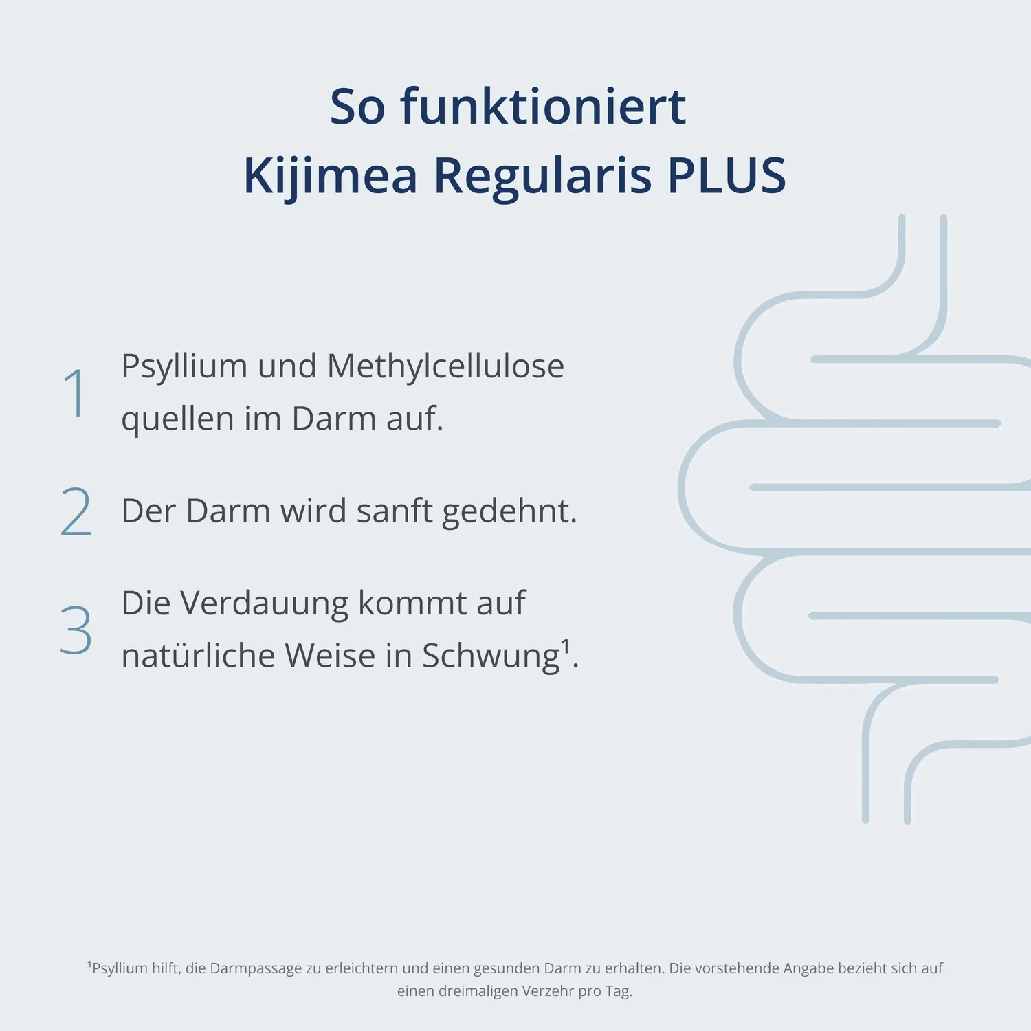 Kijimea Regularis Plus Granulat 525g bei Verstopfung