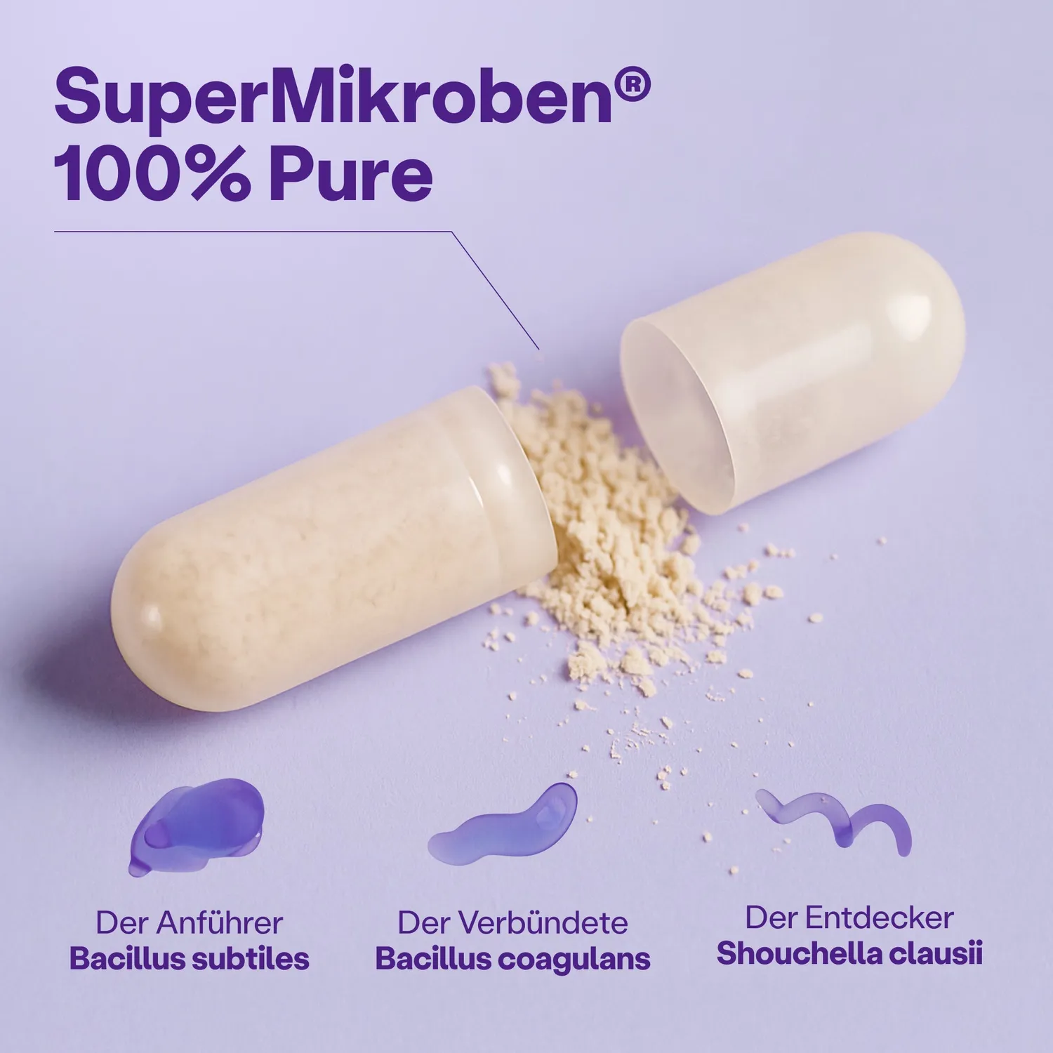fairment SuperMikroben PURE Probiotika Kapseln 60 St sporenbasiert