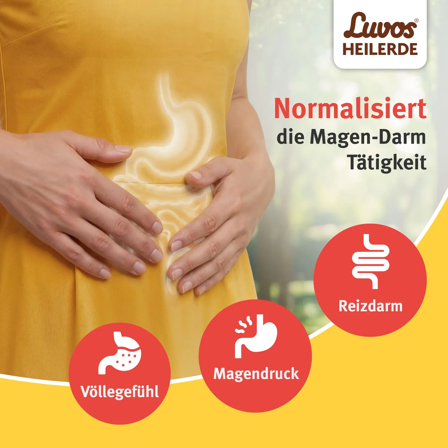 Luvos Heilerde magenfein Granulat 50 Beutel vegan