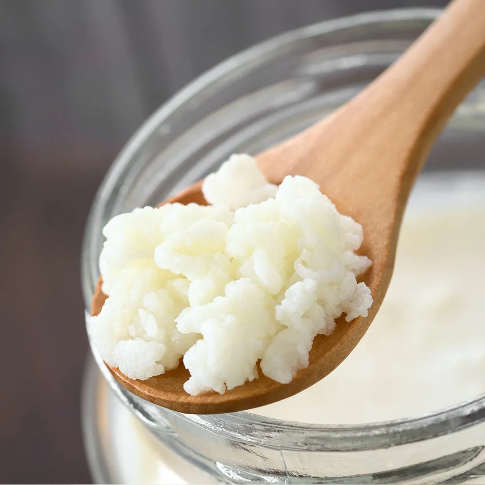 fairment Bio Milchkefir Knollen Starterkultur 10 g Bio