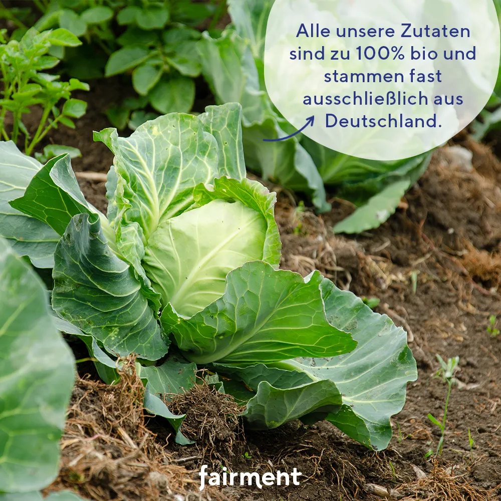 fairment Kultur-Kimchi vegan Bio-Glas 330g mildscharf