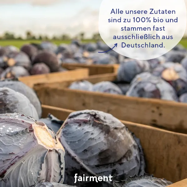 fairment Kultur-Kraut Pink fermentiert 330 g Rohkost