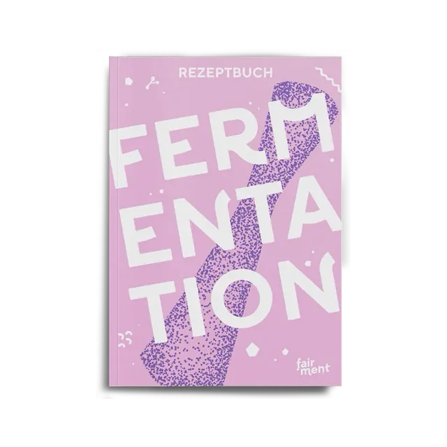 fairment Gemüsefermentation Rezeptbuch E-Book 28 Rezepte