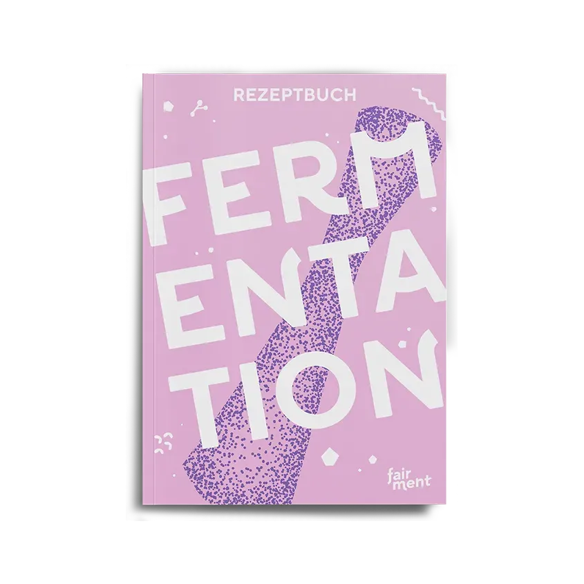 fairment Gemüsefermentation Rezeptbuch E-Book 28 Rezepte