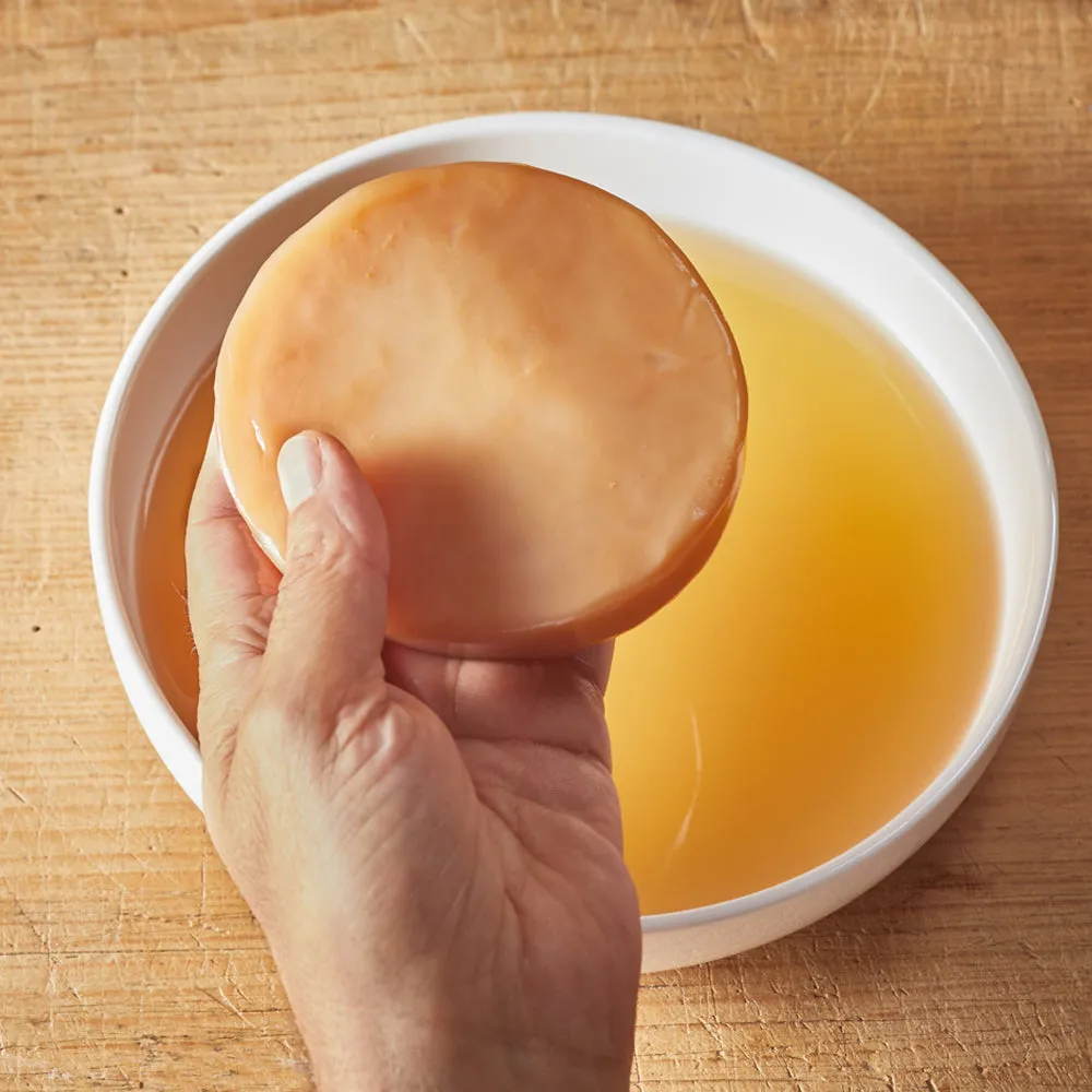 Fairment Bio Kombucha Pilz Scoby Starter 250 ml Tee