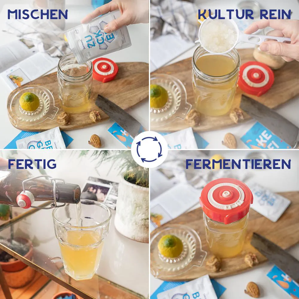 fairment Wasserkefir Starter Kit Bio Wasserkefir Set