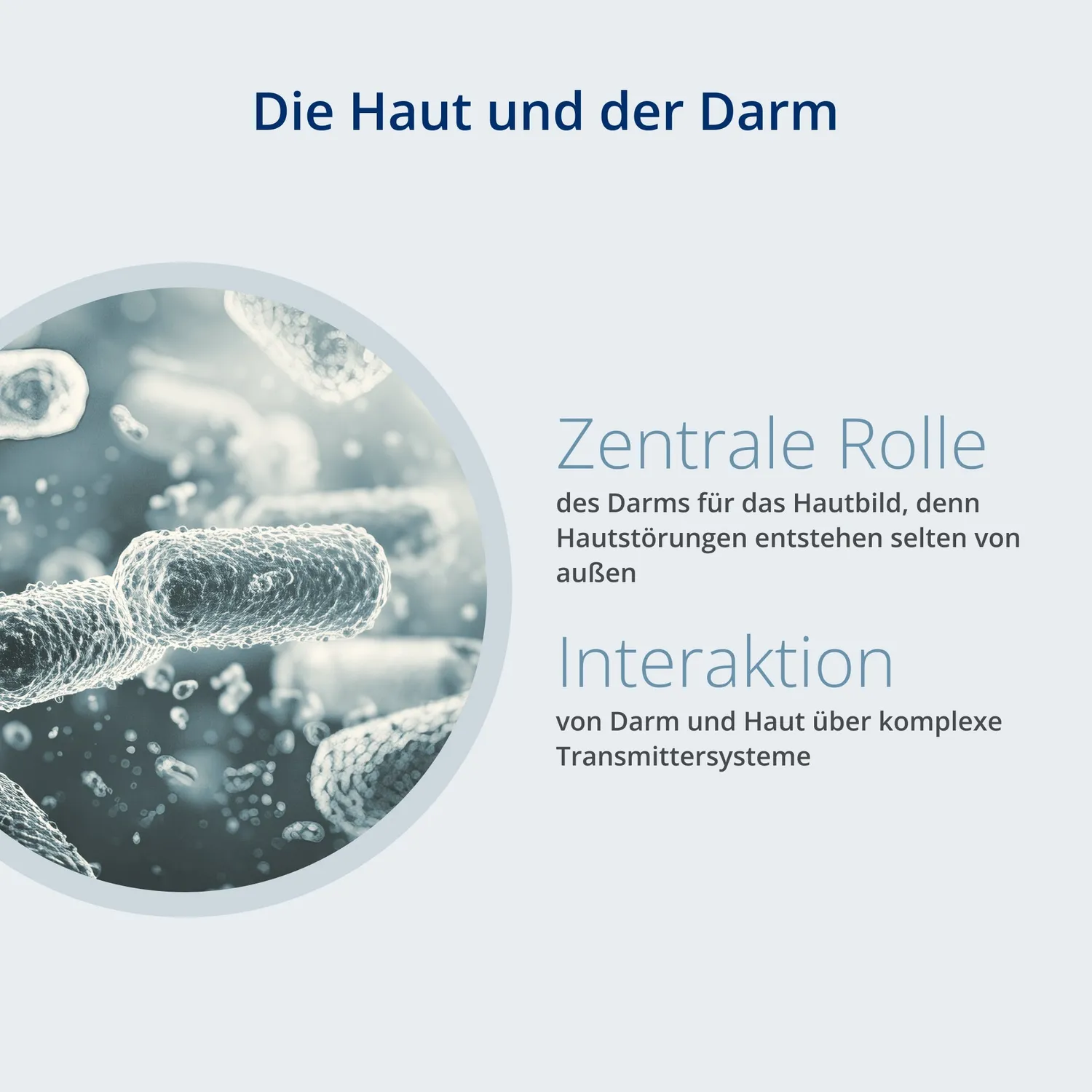 Kijimea Derma Sachets 42 Stück für die Haut