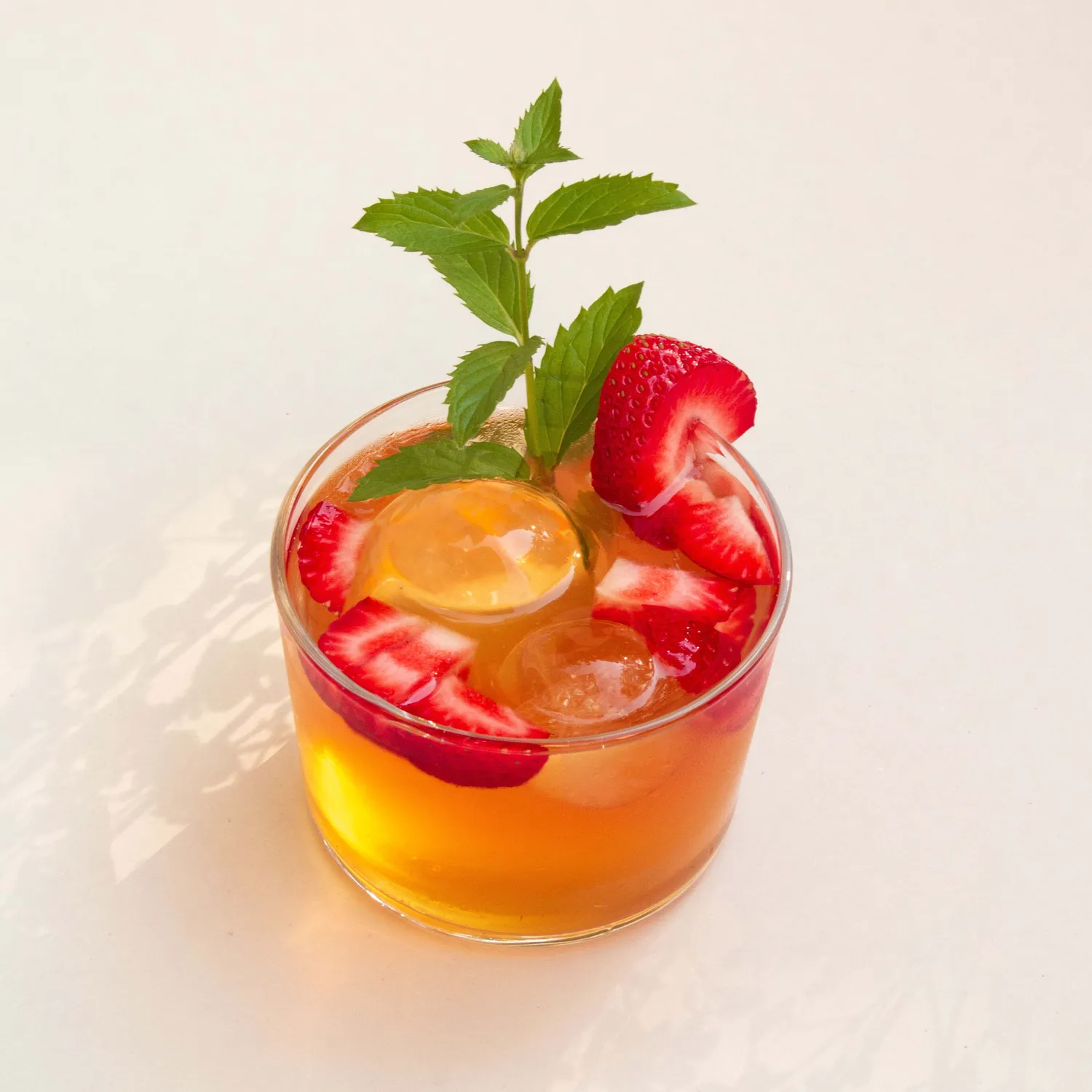 Fairment Kombucha Starter Kit Bio selber machen mit Scoby