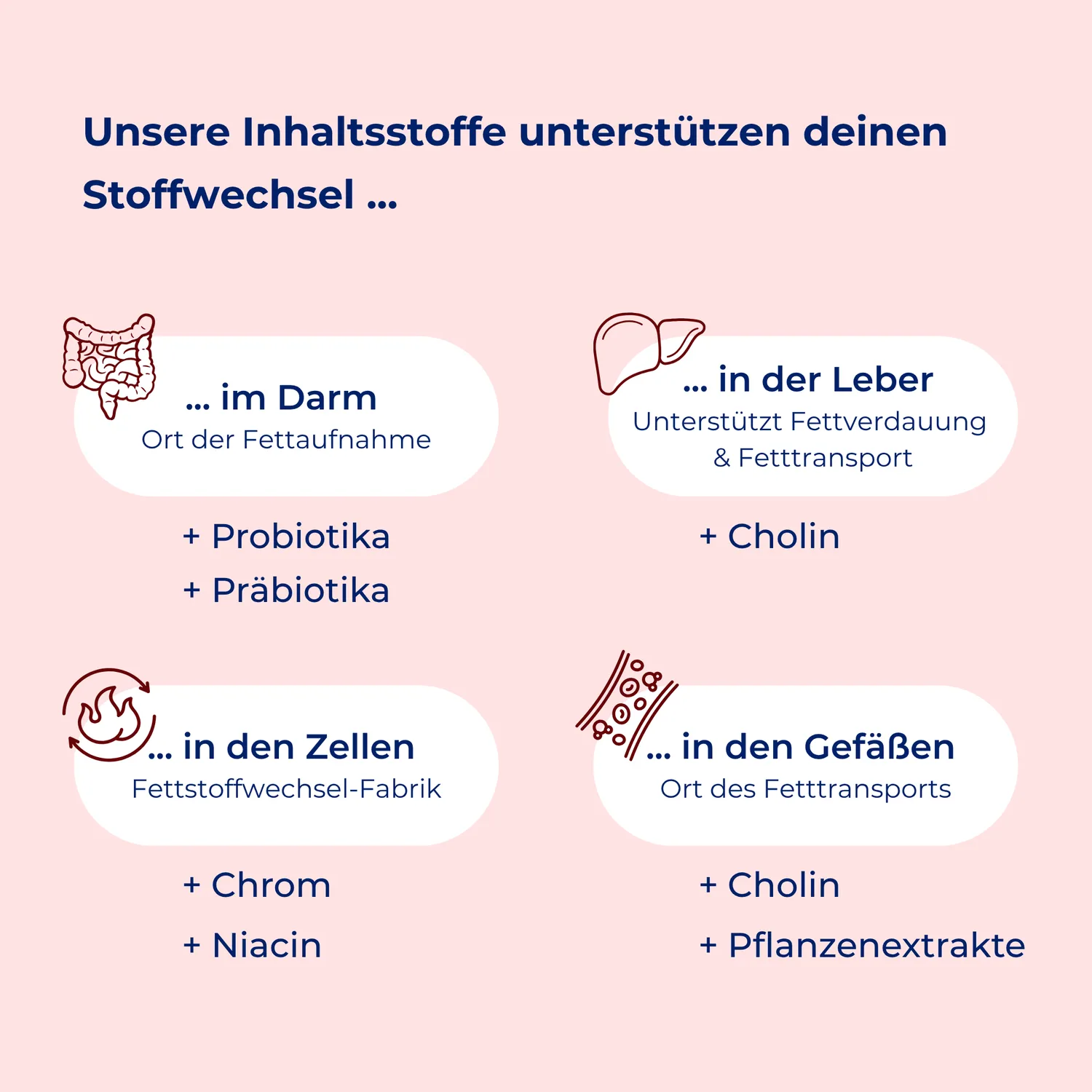MedibiotiX Lipo Kapseln für Stoffwechsel