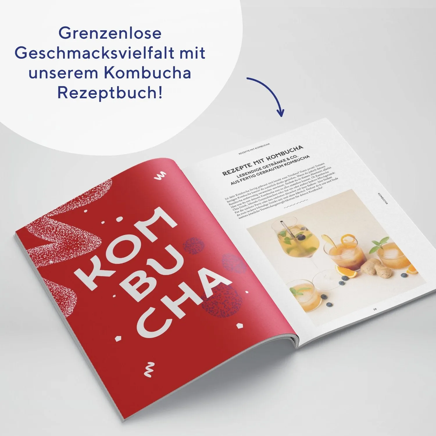 fairment Kombucha Rezeptbuch E-Book 28 Kreationen vegan