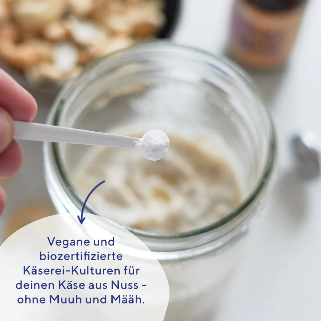 fairment Keinkäse Starter Kulturen vegan Camembert Feta