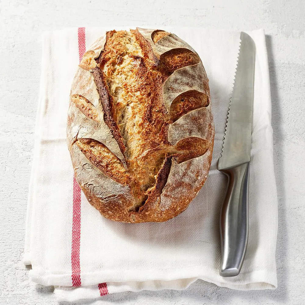 fairment Sauerteig Starterkit Brot Roggen Starterkultur bio