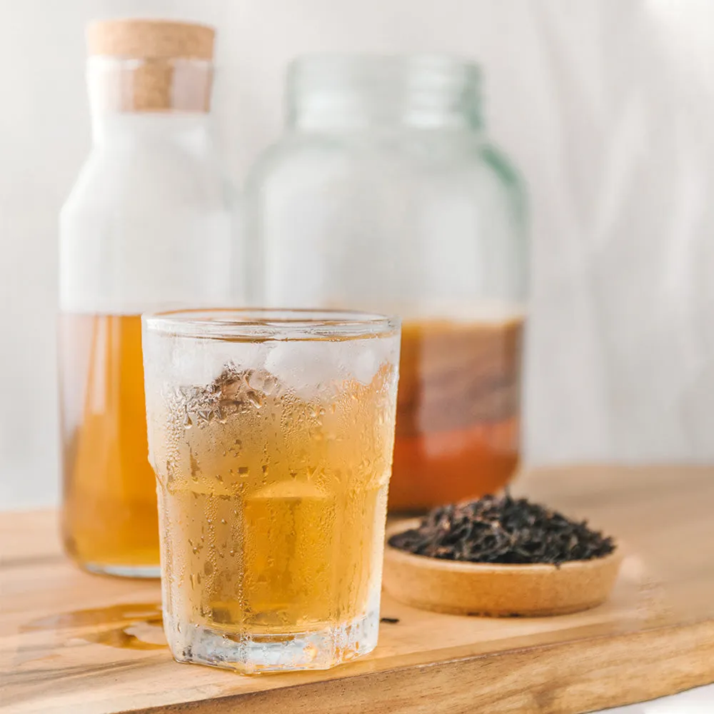 Fairment Bio Kombucha Pilz Scoby Starter 250 ml Tee
