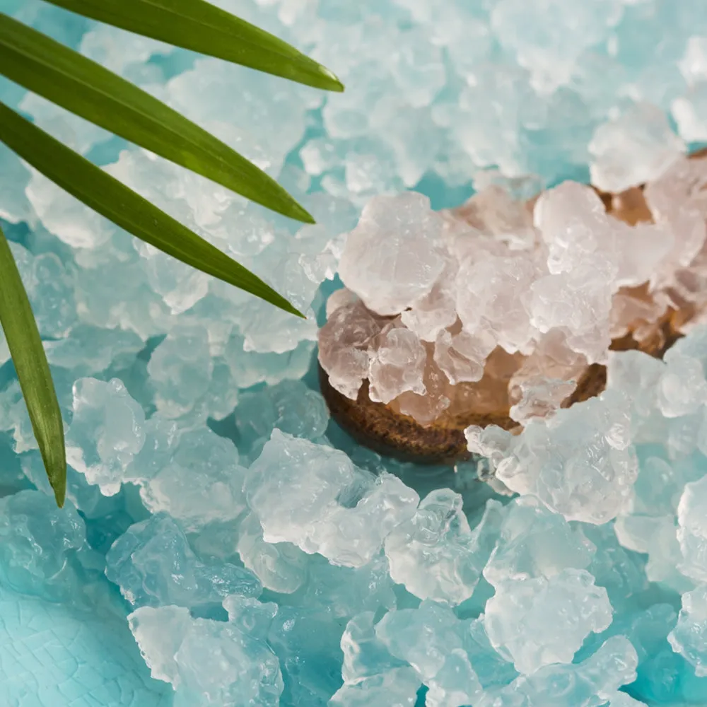 fairment Wasserkefir Kristalle Bio 30g Starterkultur