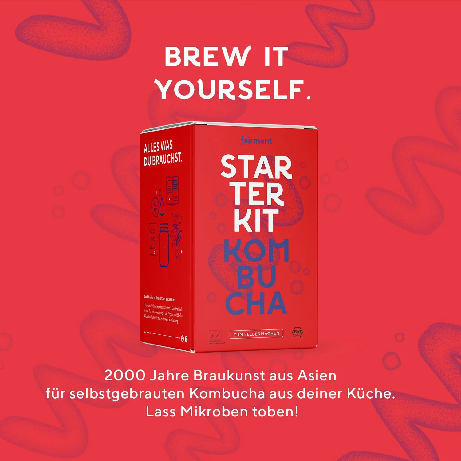 Fairment Kombucha Starter Kit Bio selber machen mit Scoby